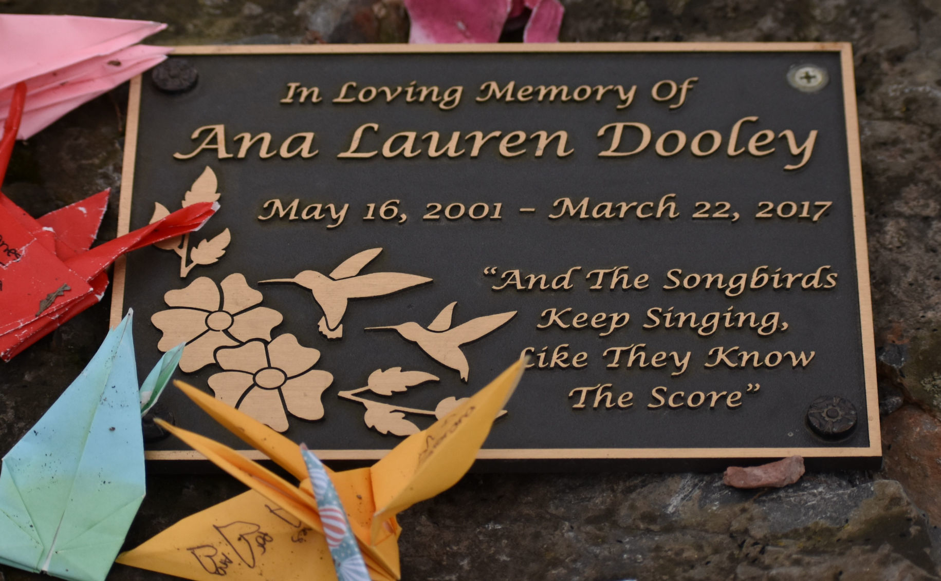 Remembering Ana, my 15-year-old daughter who died of cancer